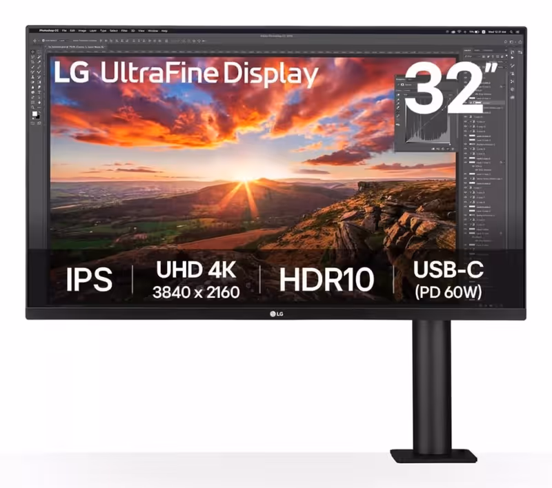 LG 31.5" 4K IPS 60Hz