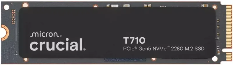 Crucial 1TB 600xTBW rating diskas