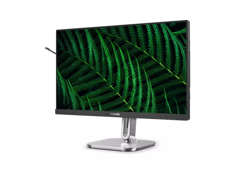 Philips 24" FHD IPS 100Hz (v4)