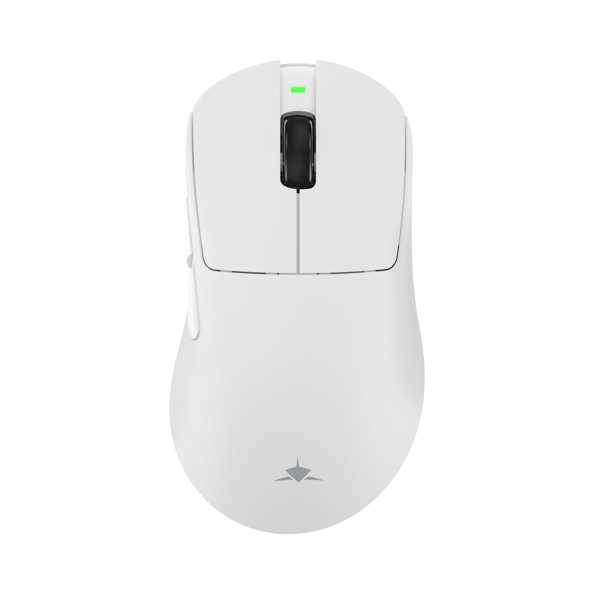 White Shark Camillus (White)