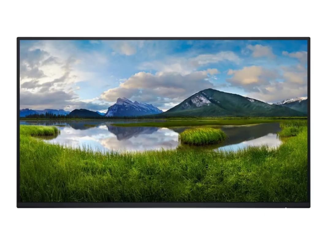 Dell Without Stand P2425H 24" FHD IPS 100Hz