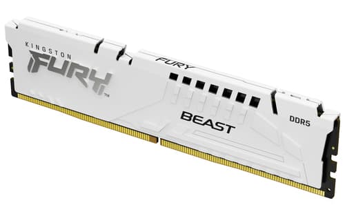 Kingston Technology FURY Beast 1 x 32 GB 5600 MT/s 288-pin DIMM