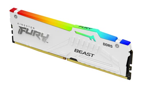 Kingston Technology FURY Beast RGB 1 x 16 GB 6000 MT/s 288-pin DIMM